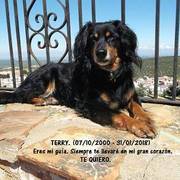 d2782-ccc7d-terry1_opt.jpg
