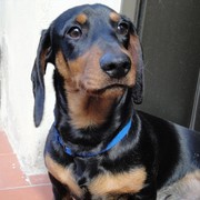 d4903-THOR--20-07-22.jpg