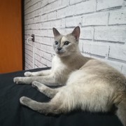 d6d09-NENA-26-11.jpg