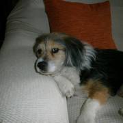 dcb21-082cb-miky.jpg