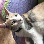 dora-25-03.JPG