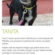 e05f8-76b74-TANITA-24-4.jpg