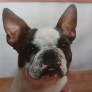 e692a-olivia.jpg