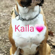 e7e3f-4e2ac-kaila.png