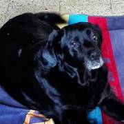 e804c-28023-cleo.jpg