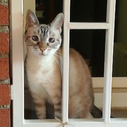 e952c-KITTY-20-05-22.jpg