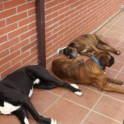eddc5-85957-juntos-en-el-paraiso.jpg