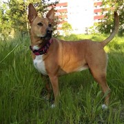ef054-NENA-15-12.jpg