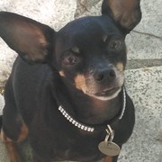 efbbd-CHIKO.jpg