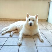 elliot-15-05.jpg