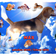 f4186-9b131-rsz_max.png