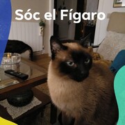 figaro-1-03-06.jpg