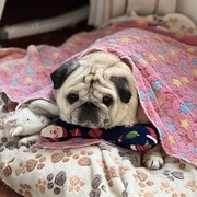 GINA - gina-1-13-04-2026.jpeg