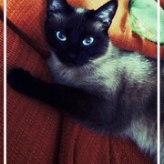 gordi-22-05-2026.jpg