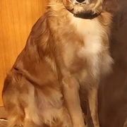 hugo-19-05.jpg
