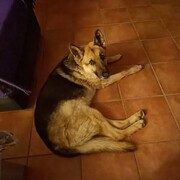 jack-11-08.jpg