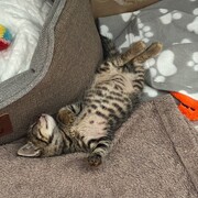 jack-14-08.jpg