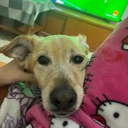 JACK - jack-4-27-01-2026.jpg