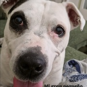 jacko-28-03.jpg