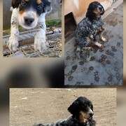 jacky-27-04-2026.jpg