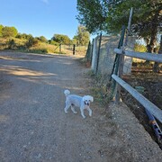 JAKC - jakc-2-17-10-2025.jpg