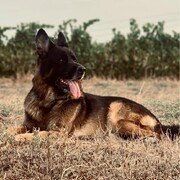 kaiser-20-05.jpg