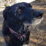 KAN - kan-3-28-02-2026.jpg