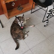 keta-14-07-2026.jpg