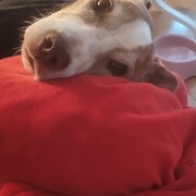 kira-05-06-2026.jpg