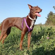 kira-12-08.jpg