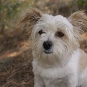 kira-25-08-2026.JPG