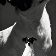 kira-25-09-2026.jpg