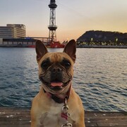 kira-31-03.jpg