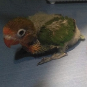 KUKA - kuka-3-27-03-2026.jpg