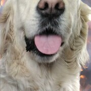 leia-27-05.jpg