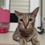 lia-16-07.jpg