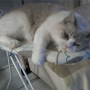 lila-08-09-2025.jpg