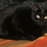 linda-1-16-09-2025.jpg