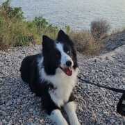 loki-28-07.jpeg