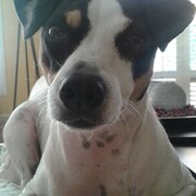 lola-13-06.jpg