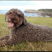 lola-19-05.jpg