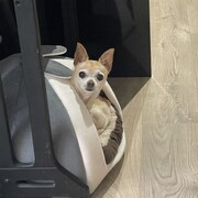 lola-22-08-25.jpg