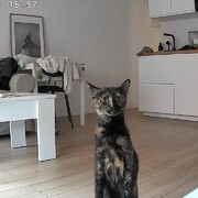 lua-09-06.jpg
