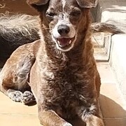 lula-23-07-2026.jpg