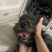 LUNA - luna-3-16-03-2026.jpg