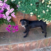 mabel-2-01-10-2025.JPG