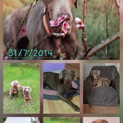 maika-21-07.jpg