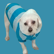 max-01-04.png