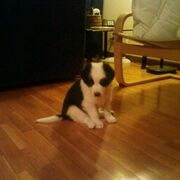 MAX - max-1-05-06-2026.jpg