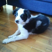 MAX - max-2-05-06-2026.JPG